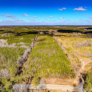 Photo #13 of Off Hicks Rd., Broadway, NC 31.1 acres