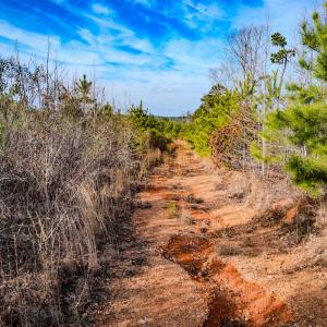 Photo #14 of Off Hicks Rd., Broadway, NC 31.1 acres