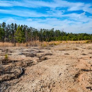 Photo #17 of Off Hicks Rd., Broadway, NC 31.1 acres