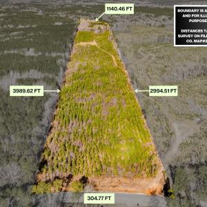 Photo #4 of Off Hicks Rd., Broadway, NC 31.1 acres