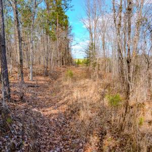 Photo #23 of Off Hicks Rd., Broadway, NC 31.1 acres