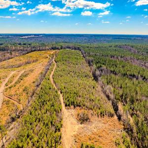 Photo #25 of Off Hicks Rd., Broadway, NC 31.1 acres