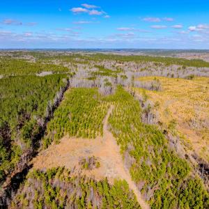 Photo #26 of Off Hicks Rd., Broadway, NC 31.1 acres