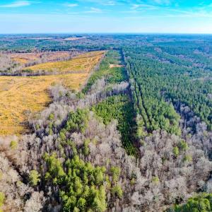 Photo #27 of Off Hicks Rd., Broadway, NC 31.1 acres