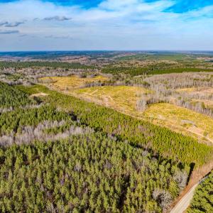 Photo #28 of Off Hicks Rd., Broadway, NC 31.1 acres