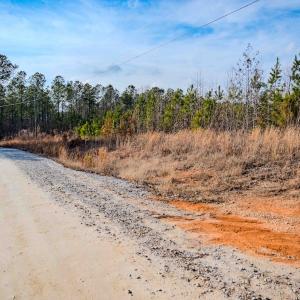 Photo #6 of Off Hicks Rd., Broadway, NC 31.1 acres