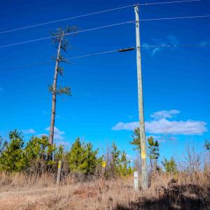 Photo #7 of Off Hicks Rd., Broadway, NC 31.1 acres