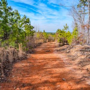 Photo #8 of Off Hicks Rd., Broadway, NC 31.1 acres