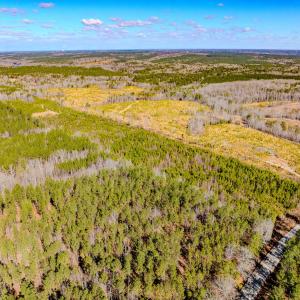 Photo #10 of Off Hicks Rd., Broadway, NC 31.1 acres