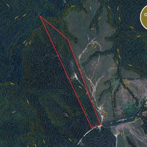 Photo #11 of Off Hicks Rd., Broadway, NC 31.1 acres