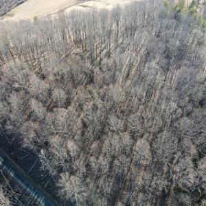 Photo #9 of Off Starmount Lane , Galax, VA 9.0 acres