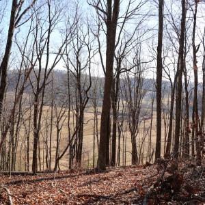 Photo #10 of Off Starmount Lane , Galax, VA 9.0 acres