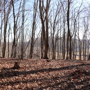 Photo #11 of Off Starmount Lane , Galax, VA 9.0 acres