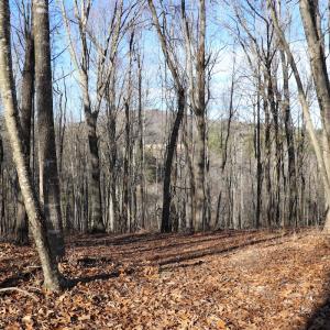 Photo #13 of Off Starmount Lane , Galax, VA 9.0 acres