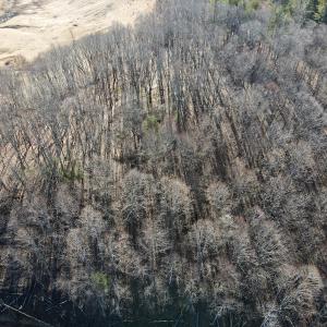 Photo #15 of Off Starmount Lane , Galax, VA 9.0 acres