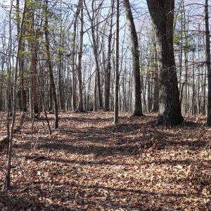 Photo #17 of Off Starmount Lane , Galax, VA 9.0 acres