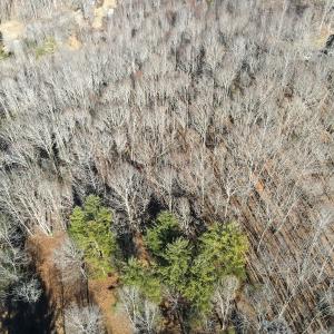 Photo #18 of Off Starmount Lane , Galax, VA 9.0 acres
