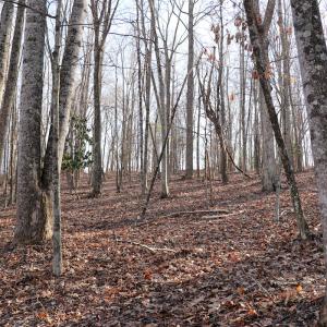 Photo #19 of Off Starmount Lane , Galax, VA 9.0 acres
