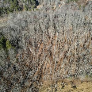 Photo #20 of Off Starmount Lane , Galax, VA 9.0 acres
