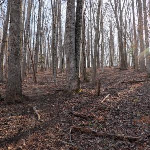 Photo #22 of Off Starmount Lane , Galax, VA 9.0 acres