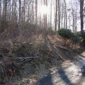 Photo #7 of Off Starmount Lane , Galax, VA 9.0 acres