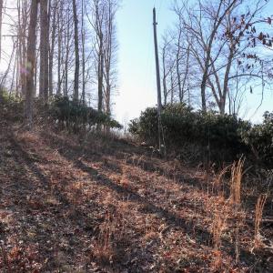 Photo #8 of Off Starmount Lane , Galax, VA 9.0 acres