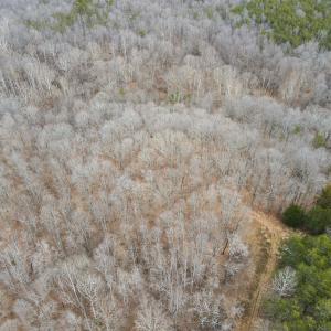 Photo #10 of Off Water Oak Road , Callands, VA 7.9 acres