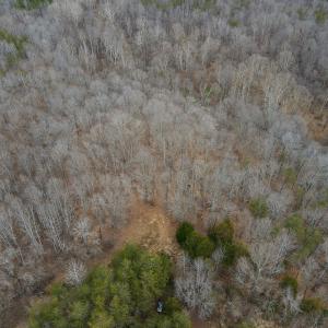 Photo #11 of Off Water Oak Road , Callands, VA 7.9 acres