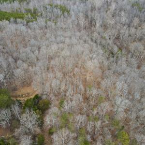 Photo #13 of Off Water Oak Road , Callands, VA 7.9 acres