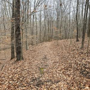 Photo #14 of Off Water Oak Road , Callands, VA 7.9 acres