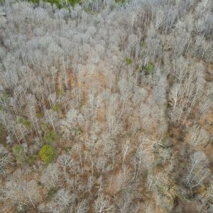 Photo #15 of Off Water Oak Road , Callands, VA 7.9 acres