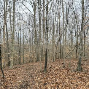 Photo #16 of Off Water Oak Road , Callands, VA 7.9 acres