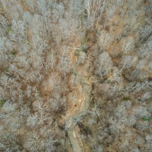Photo #17 of Off Water Oak Road , Callands, VA 7.9 acres