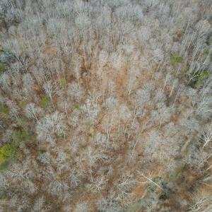 Photo #18 of Off Water Oak Road , Callands, VA 7.9 acres