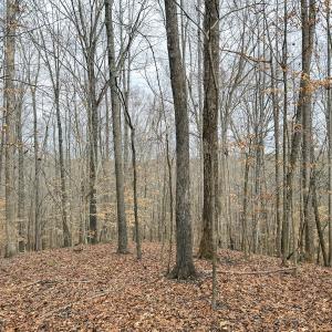 Photo #19 of Off Water Oak Road , Callands, VA 7.9 acres