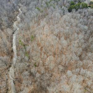 Photo #4 of Off Water Oak Road , Callands, VA 7.9 acres