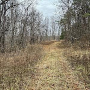 Photo #5 of Off Water Oak Road , Callands, VA 7.9 acres