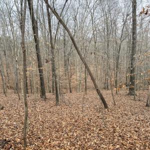 Photo #6 of Off Water Oak Road , Callands, VA 7.9 acres