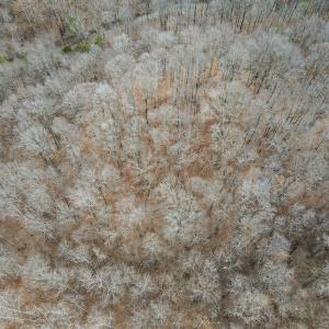 Photo #8 of Off Water Oak Road , Callands, VA 7.9 acres