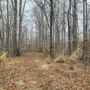 Photo #9 of Off Water Oak Road , Callands, VA 7.9 acres