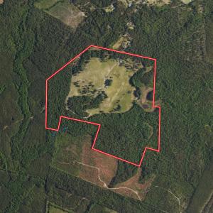 Photo #1 of 330 Ellis Stewart Ln, Cameron, NC 193.0 acres