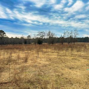 Photo #30 of 330 Ellis Stewart Ln, Cameron, NC 193.0 acres