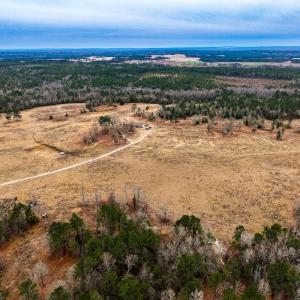 Photo #32 of 330 Ellis Stewart Ln, Cameron, NC 193.0 acres