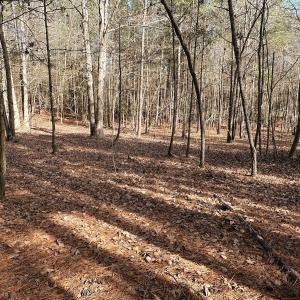 Photo #38 of 330 Ellis Stewart Ln, Cameron, NC 193.0 acres