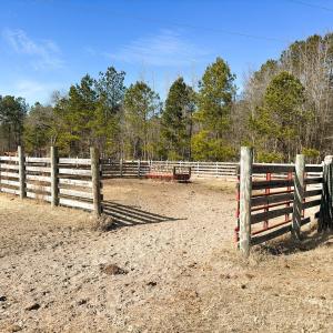 Photo #47 of 330 Ellis Stewart Ln, Cameron, NC 193.0 acres