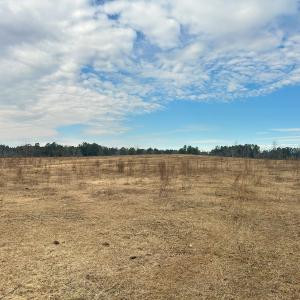 Photo #51 of 330 Ellis Stewart Ln, Cameron, NC 193.0 acres