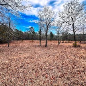Photo #52 of 330 Ellis Stewart Ln, Cameron, NC 193.0 acres