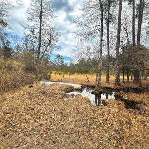 Photo #53 of 330 Ellis Stewart Ln, Cameron, NC 193.0 acres