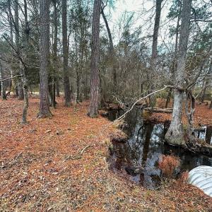 Photo #54 of 330 Ellis Stewart Ln, Cameron, NC 193.0 acres