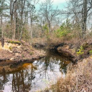 Photo #55 of 330 Ellis Stewart Ln, Cameron, NC 193.0 acres